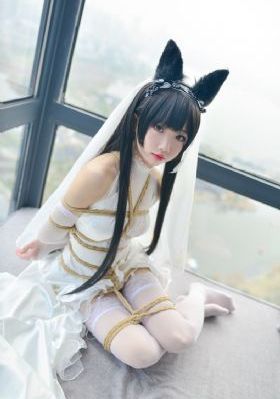 幕后电视剧免费全集在线观看_BD免费高清观看